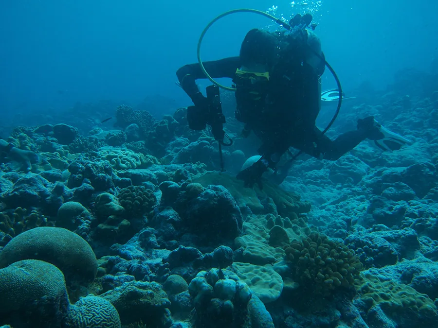 Photos de nos clients utilisant les outils submersibles sans fil Nemo en action