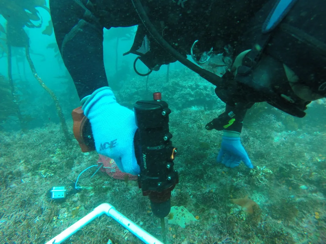 Photos de nos clients utilisant les outils submersibles sans fil Nemo en action