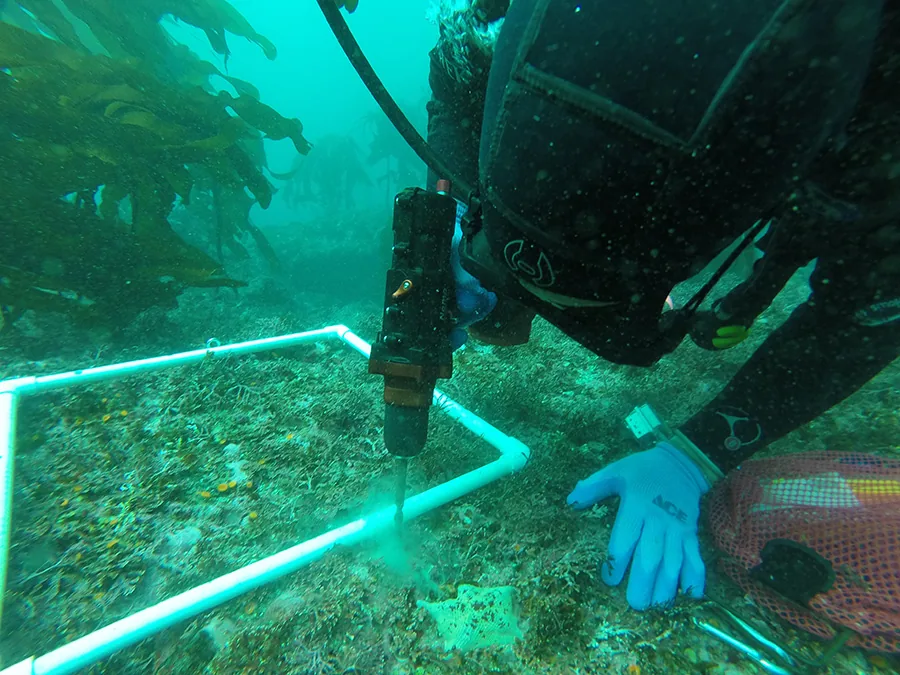 Photos de nos clients utilisant les outils submersibles sans fil Nemo en action