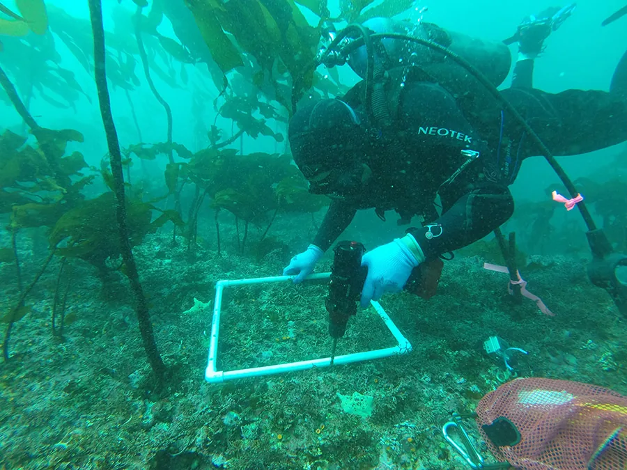 Photos de nos clients utilisant les outils submersibles sans fil Nemo en action