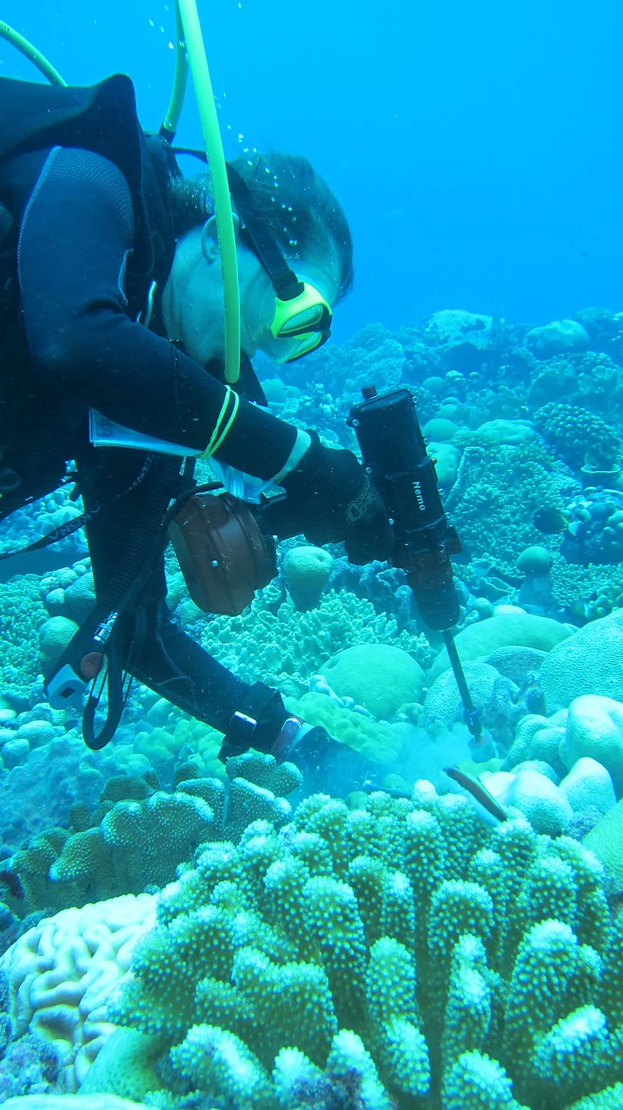 Photos de nos clients utilisant les outils submersibles sans fil Nemo en action