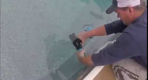 Outil Nemo pour les travaux de réparation en piscine